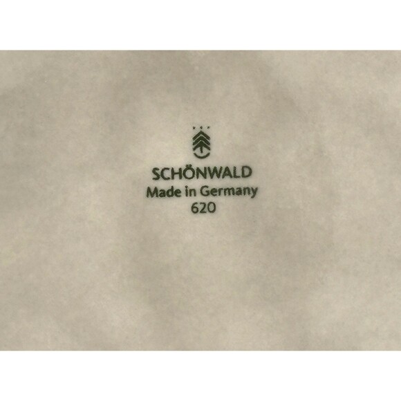 Schönwald Germany 620 Porcelain Plate Set of 4 Radial Pattern Gray Frost Shiro - Picture 12 of 16